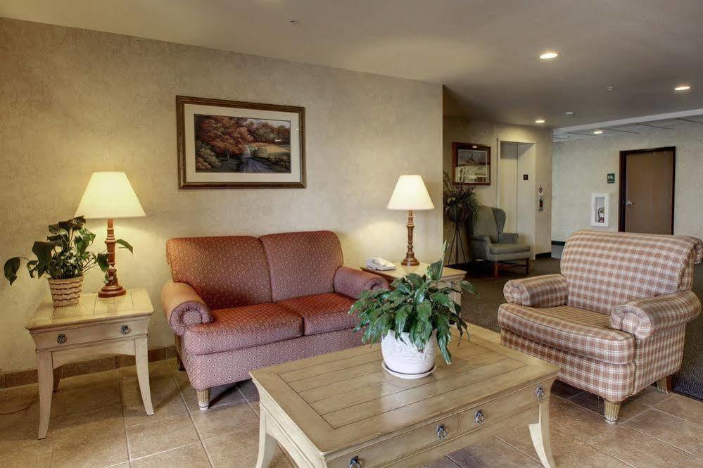 Oak Hill Inn & Suites Canton Екстериор снимка